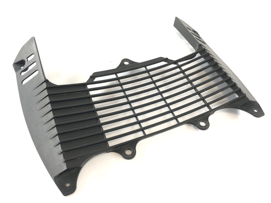 Yamaha XT 660 DM01 [2005] - Radiator cover