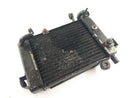 Honda CBR 125 JC34 [2006] - Cool Water Cooler-1