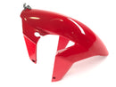 Ducati 999 H4 [2003] - Fender framtill-2