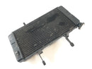 Suzuki DL 1000 V -STROM [2006] - Cool Water Cooler-2