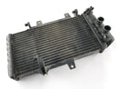 BMW F 800 ST [2006] - Water Cooler Cooler-1