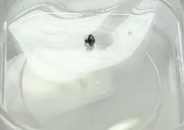 Rolex 17014 17013 - Kaliber 5035 - 6004 Växtskruvskruvarbete