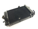 Aprilia RSV 1000 Tuono RP [2005] - Water Cooler Cooler-3