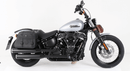 Harley-Davidson Softail Standard [2020-2025] - C-Bow Seitenträger-5