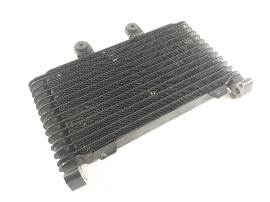 Suzuki GSF 1200 S GV75A [1998] - Water Cooler Cooler