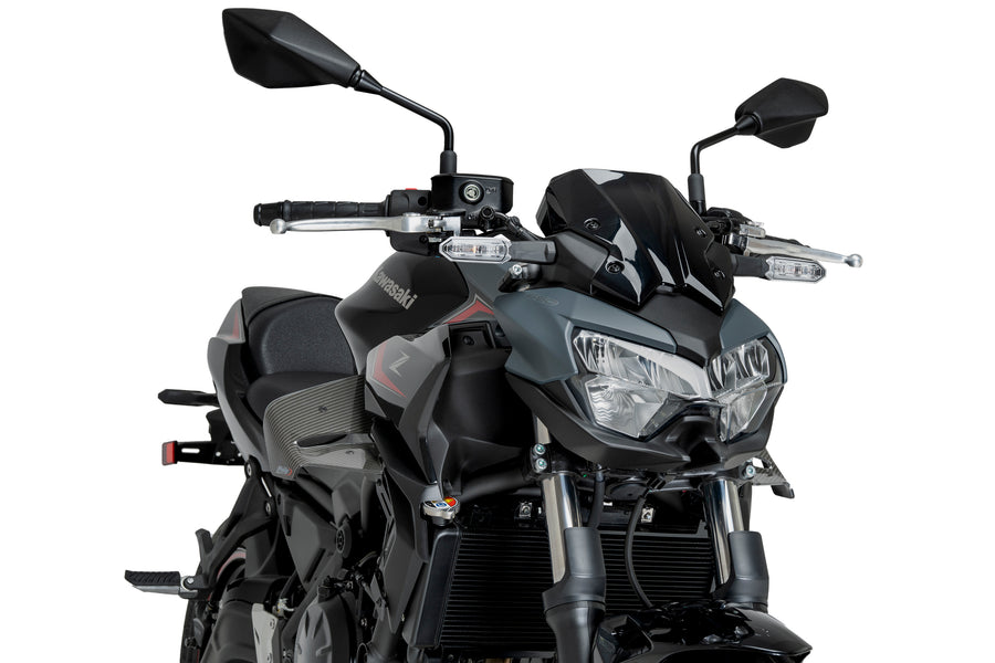 KAWASAKI Z 650 [2025] – D12 Spoiler – Schwarz