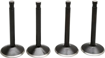 Harley Davidson FX Shovel [KIBBLEWHITE] – Black Diamond™ Motorventilsatz