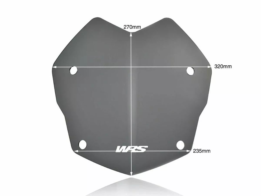 BMW R 1200 GS [WRS] - vindrutan