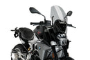BMW F 900 R [2025] – Z-Racing Scheibe – Carbon look-3