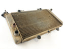 Yamaha Grizzly 660 AM03W [2003] - Cool Water Cooler-4