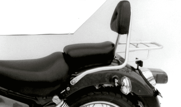 Yamaha XV 125 [1989-2002] - Sissybar mit Gepäckbrücke