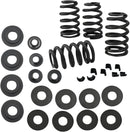 Harley-Davidson XR 1200 [2008-2010] - 0,585" Ventilfedersatz – Bild 1