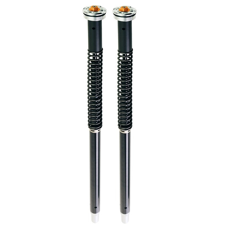 BMW R nineT 1200 Scrambler [2016-2023] - Plug and Play Gabelkartuschen (hohe Version)