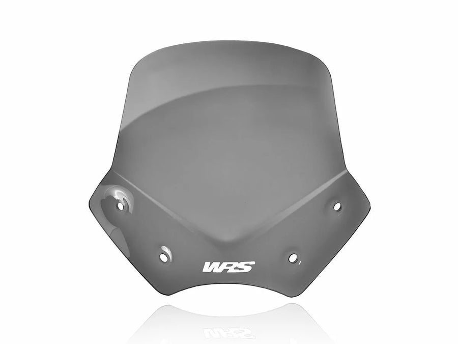 BMW R 1200 R [WRS] - vindrutan