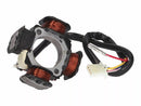 Aprilia Rs 250 [101 Octanne] -Alterator-butiker-1