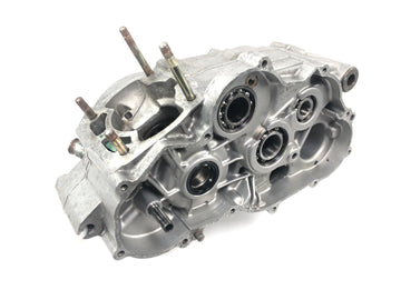 Aprilia RS 125 Extrema [1994] - ROTAX 123 motorhus vevhusmotorblock