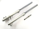 BMW F 650 GS R13 [2002] - Gabel Telegabel mit Achse-1