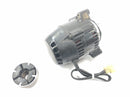 Triumph Daytona 900 T300 [1996] - Generator DC-generator-5