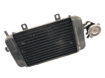 BMW C1 125 [2002] - Kühler Wasserkühler Kühlradiator Kühlsystem mit Einfüllstutzen