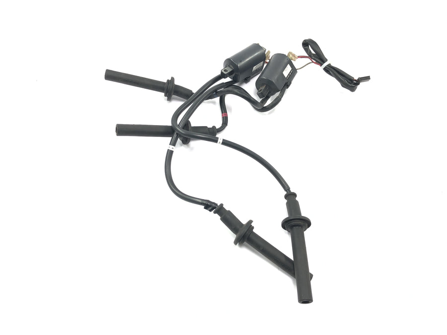 Yamaha YZF R1 RN04 [2001] - Ignition coils ignition coil kit ignition system ignition cable