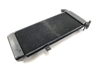 Kawasaki Versys KLE 650 A [2006] - Radiator vattenkylare kylsystem radiator - 0