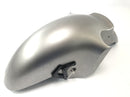Kawasaki ZX 12 R ZXT20A [2001] - Kotflügel vorne Radabdeckung Fender-1