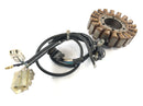 Yamaha XT 660 DM01 [2004] - Stator med pickupgenerator-4