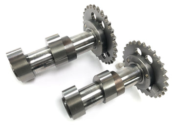 Aprilia SL 1000 Falco PA [2000] - Kamaxelcylinder bakom set par