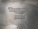 Triumph Speed Triple T509 [1998] - Fahrersitz Sitz Sitzbank-3