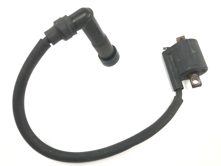 Beta RR 125 [2018] - Zündspule Zündspulenmodul mit Zündkabel Zündkerzenstecker