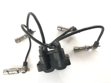 BMW K 1200 RS [2002] - Zündspule mit Stecker - 0