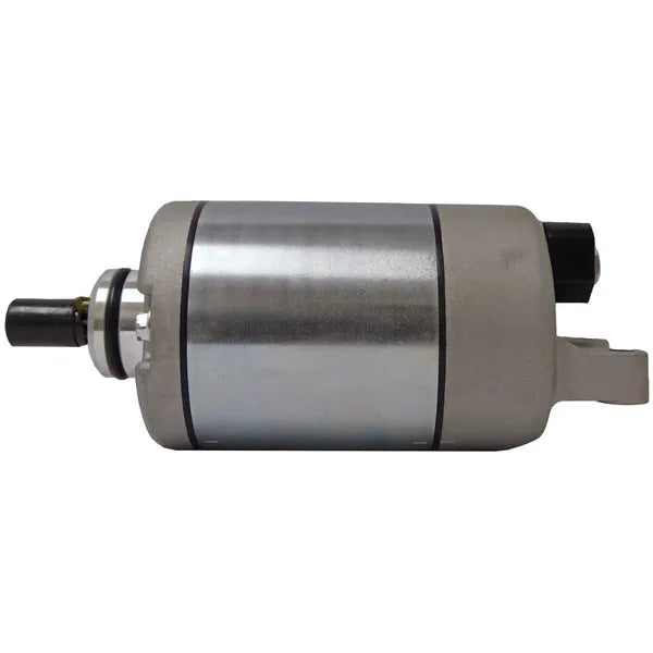 Suzuki GSF 1250 [PARTS EUROPE] – Starter