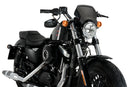 HARLEY DAVIDSON SPORTSTER FORTY-EIGHT XL 1200 X [2020] – ALU Frontplatte-1