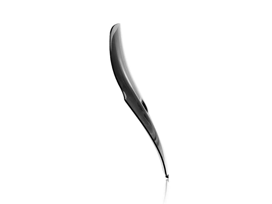 ducati diavel [WRS] – Windschild