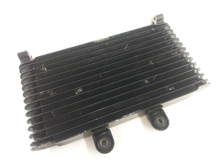 Suzuki GSF 1200 S GV75A [1998] - Water Cooler Cooler