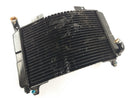 Aprilia Rs 250 [1998] - Cool Water Cooler Defective-2