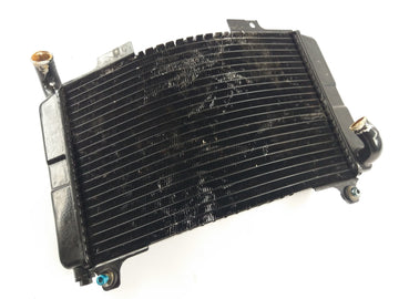 Aprilia Rs 250 [1998] - Cool Water Cooler Defective - 0
