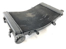 Triumph Street Triple R 675 D67ld [2008] - Cool Water Cooler-3