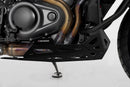 Harley-Davidson RA 1250 Pan America [2021-2024] - motorskydd - bild 4
