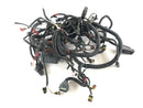 Can Am Spyder SM5 [2009] - Wiring harness-3