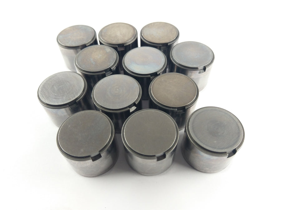 Triumph Thunderbird 900 T309RT [1995] - Human Cups Stössel set
